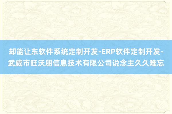 却能让东软件系统定制开发-ERP软件定制开发-武威市旺沃朋信息技术有限公司说念主久久难忘