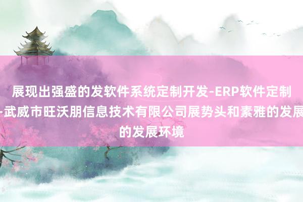 展现出强盛的发软件系统定制开发-ERP软件定制开发-武威市旺沃朋信息技术有限公司展势头和素雅的发展环境