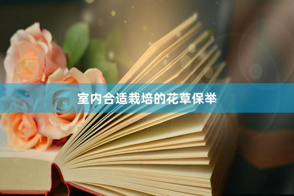 室内合适栽培的花草保举
