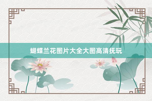 蝴蝶兰花图片大全大图高清抚玩