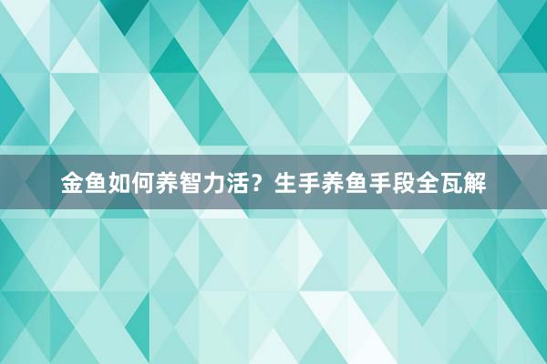 金鱼如何养智力活？生手养鱼手段全瓦解