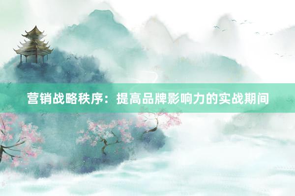 营销战略秩序：提高品牌影响力的实战期间
