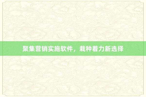 聚集营销实施软件，栽种着力新选择