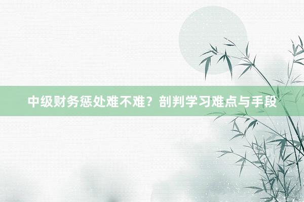 中级财务惩处难不难？剖判学习难点与手段